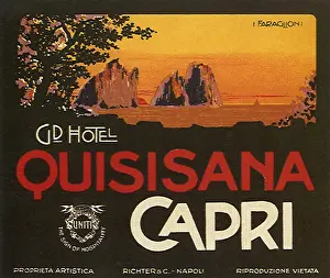 Capri: Luggage Label
