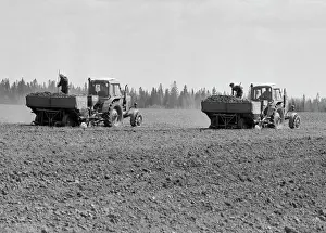 Potatoes: Lugovskoy Sovkhoz in Perm district