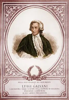 Galvanic: Luigi Galvani, Italian Physicist