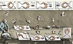 Galvani: Luigi Galvani's Experiments