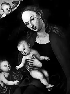 Cranach: Lukas Cranach d. J