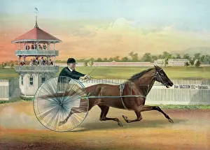 C1875: Lula, Rochester driving park