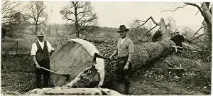 Yokel: LUMBERJACKS 1930S