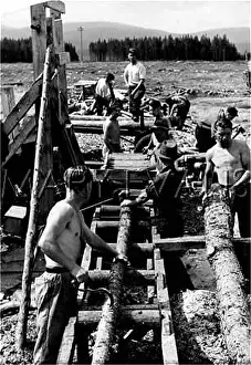 Depends: LUMBERJACKS 1930S