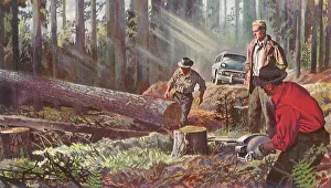 Lumberjacks: Lumberjacks cut down Tree