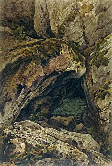 Crevice: LUMINOUS MOSS