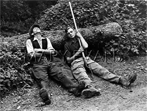 Farmworkers: LUNCHTIME NAP