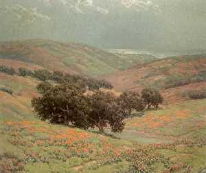 Marin: Lupine and Poppies, Marin