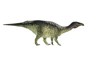 Ankylopollexia: Lurdusaurus dinosaur, side profile