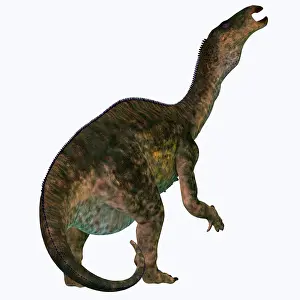 Rearing: Lurdusaurus dinosaur, rear view on white background