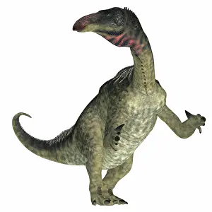 Rearing: Lurdusaurus dinosaur on white background