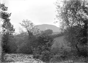 Dried: Lurig and R. Dall