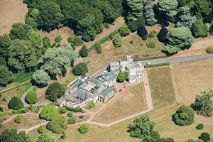 Luscombe: Luscombe Castle and ornamental trees, with proposals