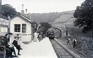 The Andrew Jenkins Collection: Lustleigh Village Station, Devon