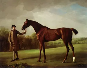 1761: Lustre with Groom, by Stubbs