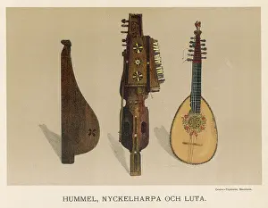 Lutes: Lute and string instruments
