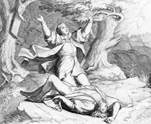1503: LUTHER'S FRIEND STRUCK