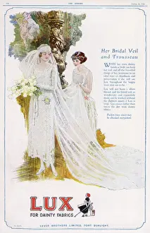 Delicacy: Lux advertisement