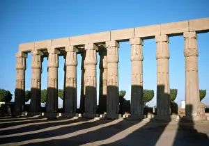 Papyriform: LUXOR COLUMNS (SHADOWS)