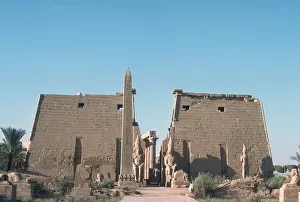 Fronted: LUXOR (FRONT VIEW)