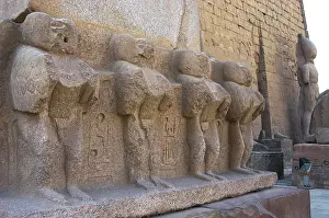 Monkeys: Luxor temple. Mandrill carved into the base of the obelisk o