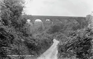 Viaduct: Luxulyan Valley Viaduct
