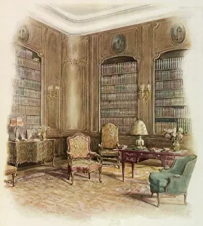 Households: Luxurious Library Interior