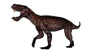 Gorgonopsid: Lycaenops dinosaur roaring, white background