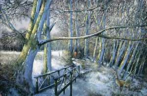Madgwick: Lydford Gorge – Devon