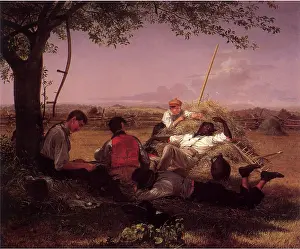 Willaim: Lying in Haystack