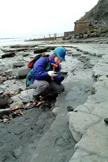 Sedimentary: Lyme Regis
