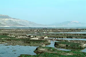 Anning: Lyme Regis