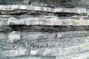 Lias: Lyme Regis