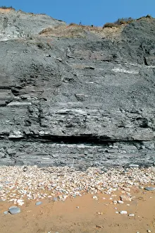 Lias: Lyme Regis