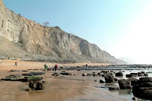 Landslip: Lyme Regis