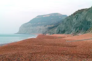 Lias: Lyme Regis