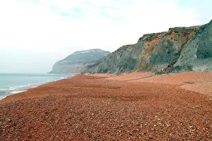 Lias: Lyme Regis