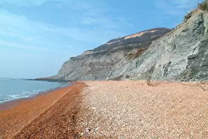 Anning: Lyme Regis
