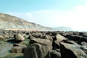 Seaweed: Lyme Regis