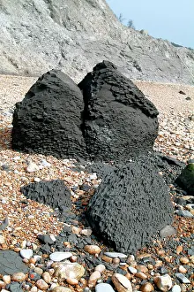 Lias: Lyme Regis