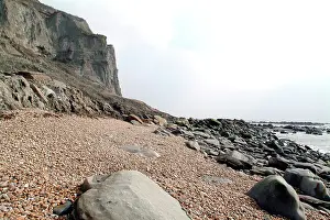 Lias: Lyme Regis
