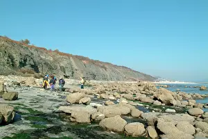 Sedimentary: Lyme Regis