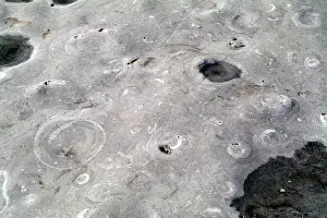 Sedimentary: Lyme Regis