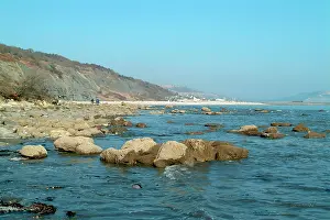 Lias: Lyme Regis