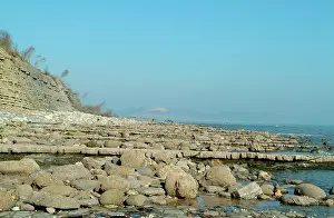 Anning: Lyme Regis