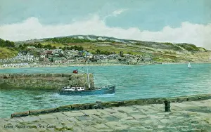 Cobb: Lyme Regis, Dorset, viewed from The Cobb