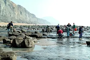 Palaeontologist: Lyme Regis field trip, 2003