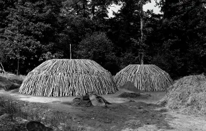 Lyndhurst: Lyndhurst, Charcoal Burning in the Forest c1955