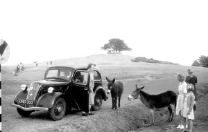 Lyndhurst: Lyndhurst, Donkeys c1955