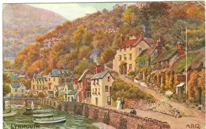 Defences: Lynmouth harbour side view with boats and bridge